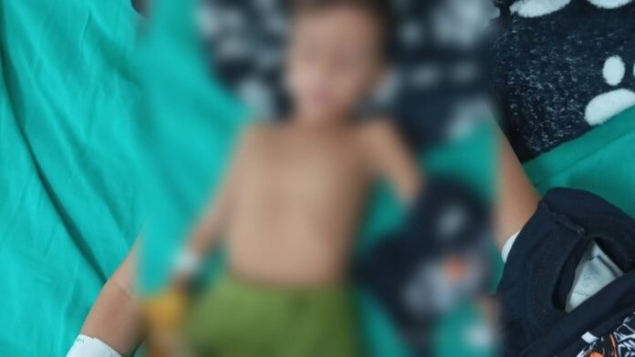 Novo Projeto