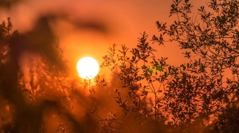 Estudo expõe despreparo de cidades acreanas para enfrentar calor extremo; Rio Branco e Porto Acre preocupam