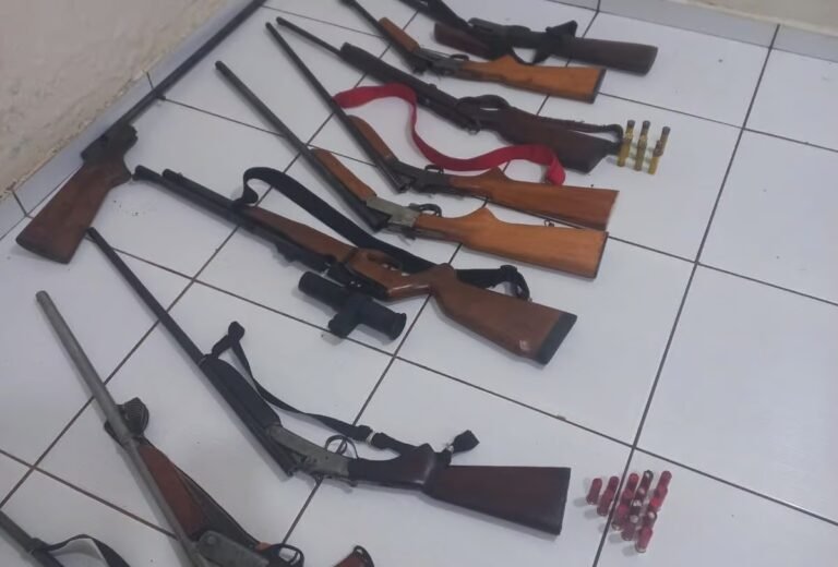 Polícia Civil apreende armas e munições durante investigação de violência doméstica em Capixaba