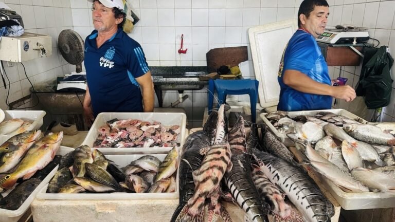 Prefeitura de Cruzeiro do Sul faz fiscalização no Mercado do Peixe e constata pescado próprio para consumo