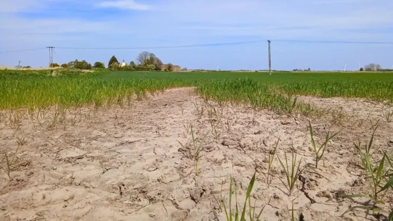 Partes do Reino Unido se aproximam de situação de seca após semanas de calor e pouca chuva