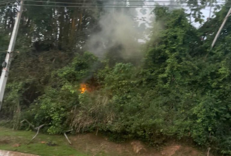 🚨 URGENTE: Fogo em área de vegetação na Avenida Boulevard Thaumaturgo assusta quem passa pelo local em Cruzeiro do Sul