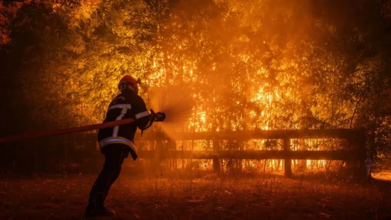 Macron convoca reunião de crise enquanto incêndios florestais ameaçam Bordeaux e nova onda de calor preocupa Europa
