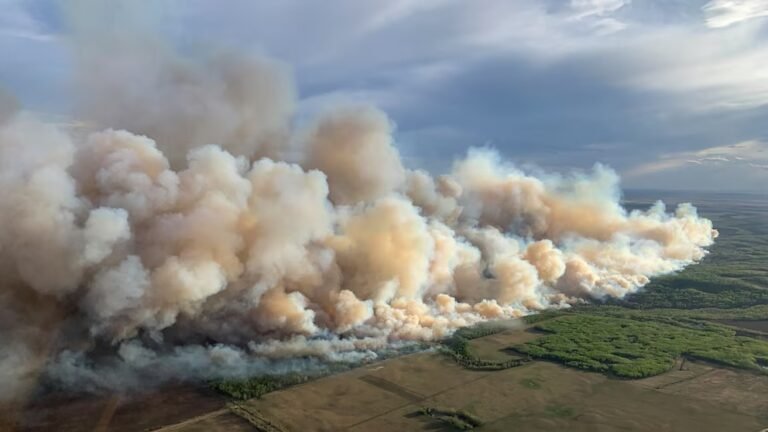 Incêndios sem precedentes seguem ameaçando região de Bordeaux, afirma ministro francês