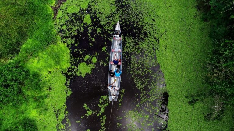 Acre avança no mapa da biodiversidade, mas vazios científicos persistem
