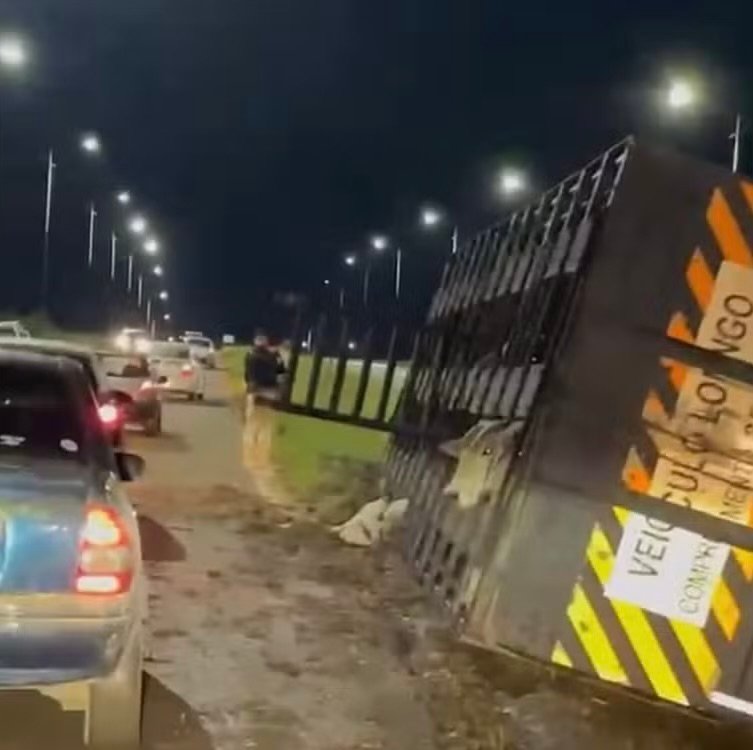 Carreta com mais de 30 bois tomba próximo à Estrada do Aeroporto, em Rio Branco