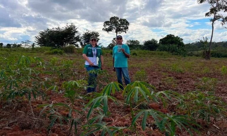 Idaf reforça vigilância contra pragas e intensifica monitoramento em propriedades do Alto Acre
