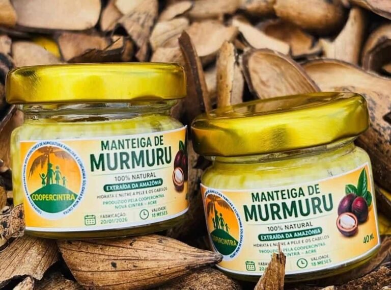 Natura fortalece produção de óleo de murumuru e amplia geração de renda em Rodrigues Alves