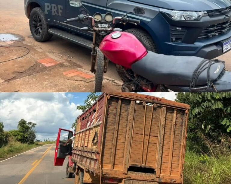 PRF apreende gado transportado de forma irregular e prende motorista por placa clonada em Brasiléia