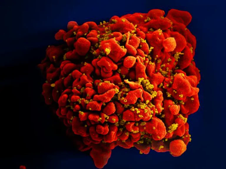 Dois novos casos de cura do HIV são anunciados e reforçam avanço da ciência