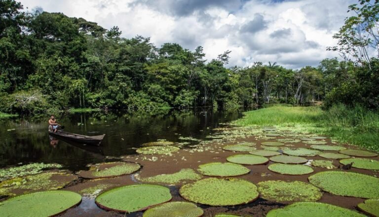 Projeto vai fortalecer turismo comunitário na Bacia do Rio Croa, em Cruzeiro do Sul