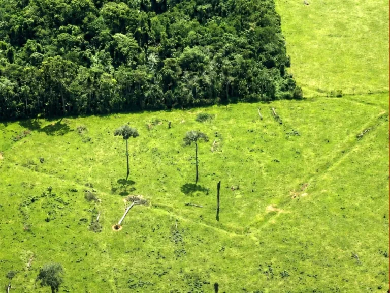 Pesquisa identifica quase 400 novos geoglifos na Amazônia após sobrevoos no Acre