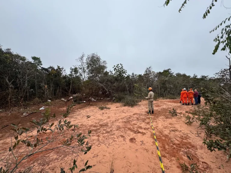 Pesquisadora alemã e piloto morrem após queda de avião em Campo Grande
