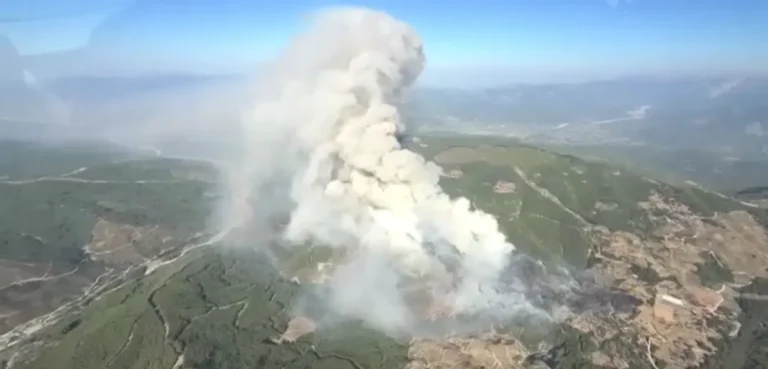 Bombeiros combatem incêndio florestal no sudoeste da Turquia; mudanças climáticas ampliam risco de queimadas