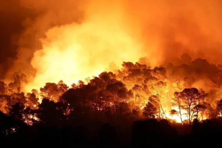 Incêndios extremos transformam cenário na Europa e preocupam especialistas
