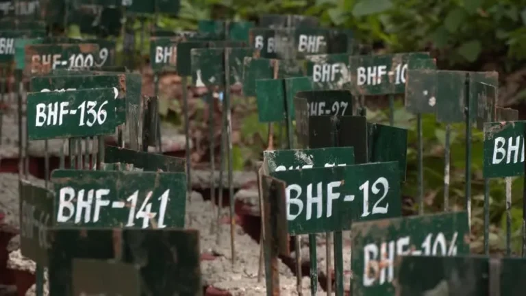 Nepal sepulta 199 corpos não identificados em floresta após enchentes