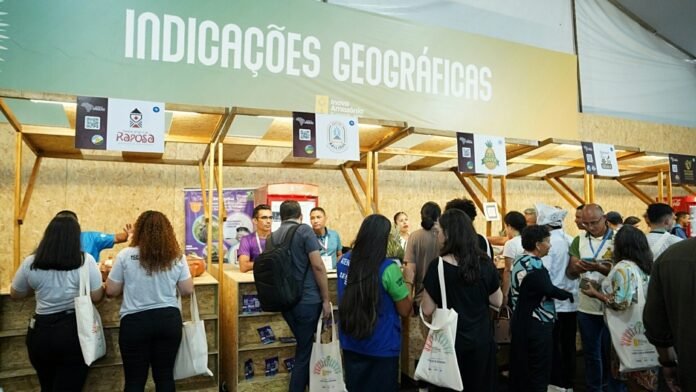 Sebrae-Israel-Cardoso-Inova-Amazonia-Summit-110-1