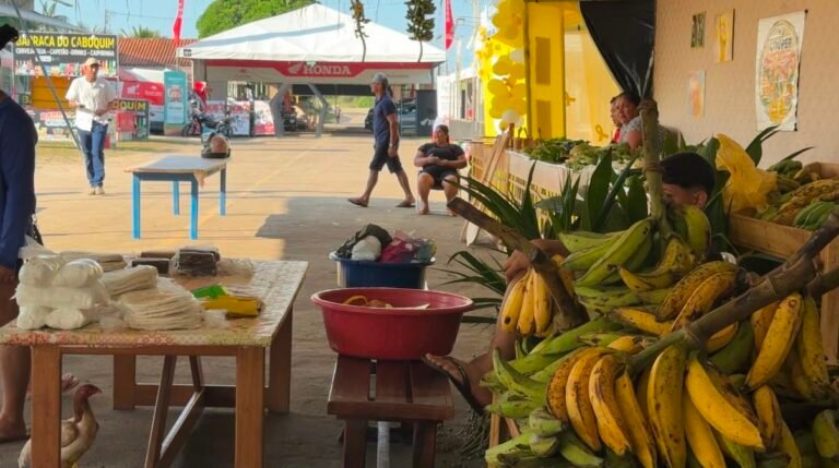 Durante Feira do Agricultor, produtor rural comenta grande movimentação de vendas e rendimentos