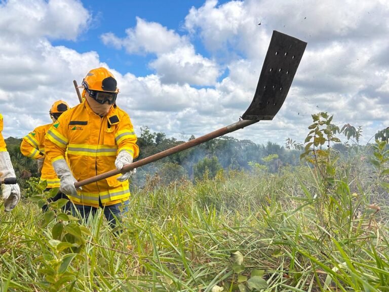 Período de estiagem leva Prefeitura a reforçar treinamento contra incêndios