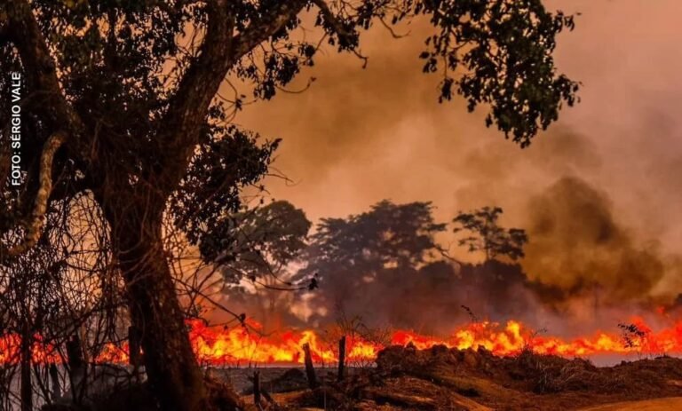 Acre reduz em 59% os focos de queimadas em 2026