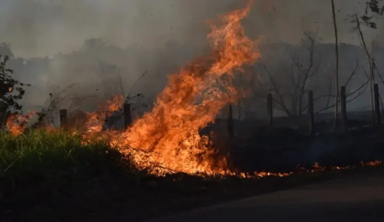 Acre soma 234 focos de queimadas em 2026, com agosto concentrando 137 registros