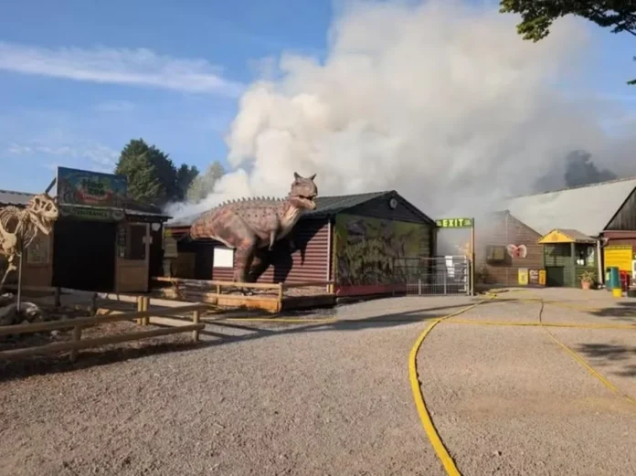 incendio-zoo-inglaterra