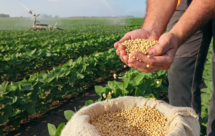 processes-oilseedprep-soybeanprep-hero