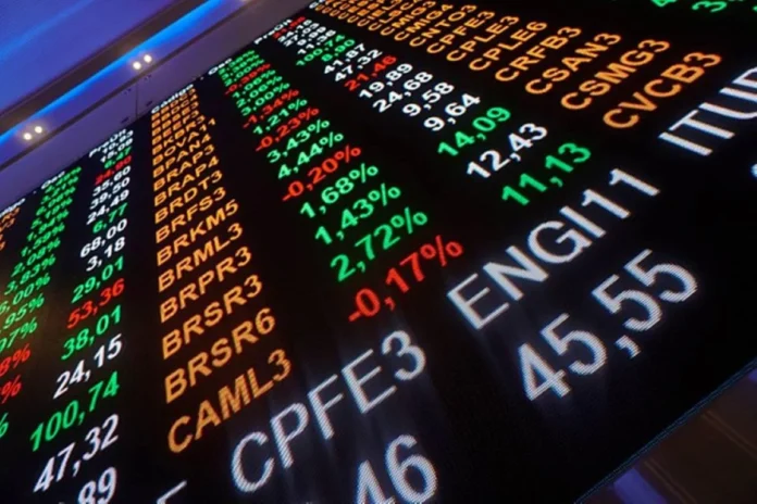 bolsa (1)