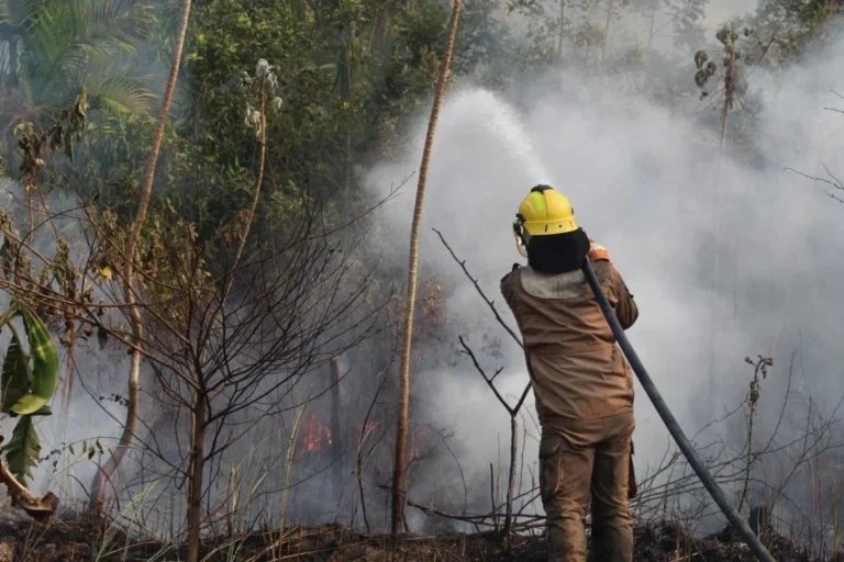 Governo envia alertas pelo WhatsApp diante de fumaça e incêndios no Amazonas