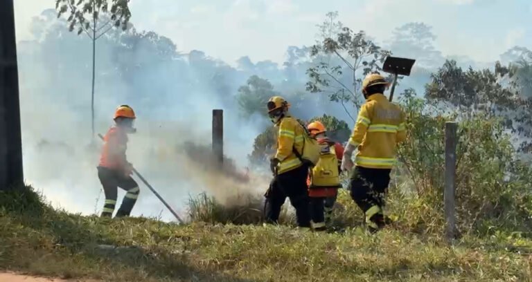 Calor extremo e queimadas: em menos de três horas, dois incêndios de grandes proporções mobilizam Bombeiros em Cruzeiro do Sul