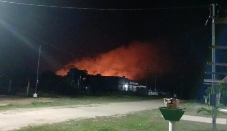 Incêndio em mata se aproxima de residências no bairro Manuel Gomes, em Rodrigues Alves