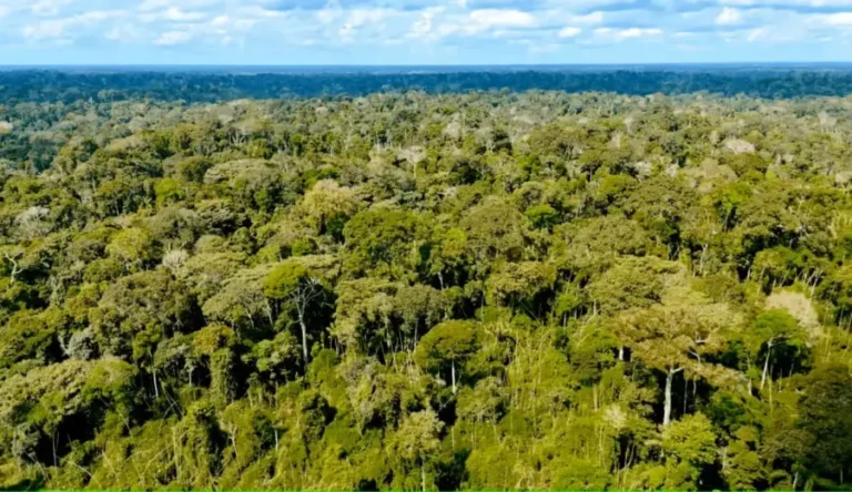 Acre já destinou mais de R$ 1 bilhão para ações climáticas e lidera investimento proporcional na Amazônia