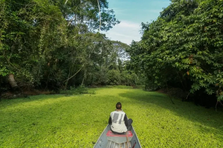 Cruzeiro do Sul fica entre os 25 melhores municípios do Brasil em ranking ambiental