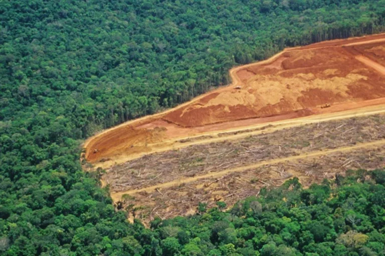 Desmatamento cai 22,2% no Acre, mas estado tem a menor redução entre os que diminuíram a derrubada na Amazônia